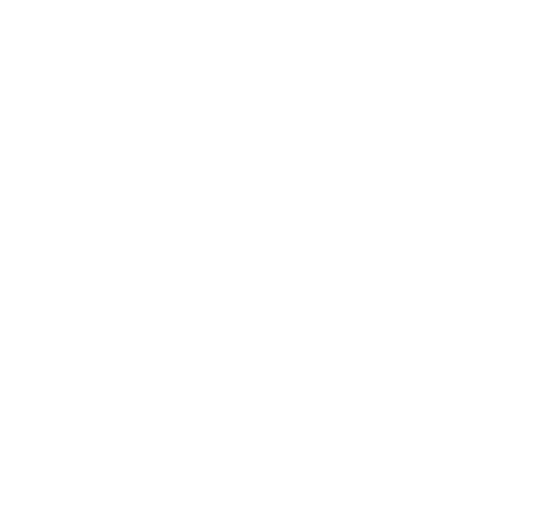 logo-blanco-biz-internacional